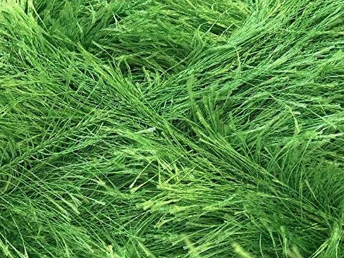 100 Gram Jungle Grass Green Eyelash Yarn Ice Packer's Green Fun Fur